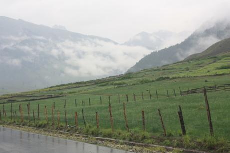 DAILY PHOTO: Kashmir Green, Dreary and Bright