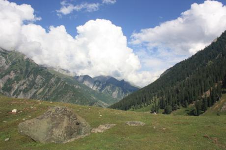 DAILY PHOTO: Kashmir Green, Dreary and Bright