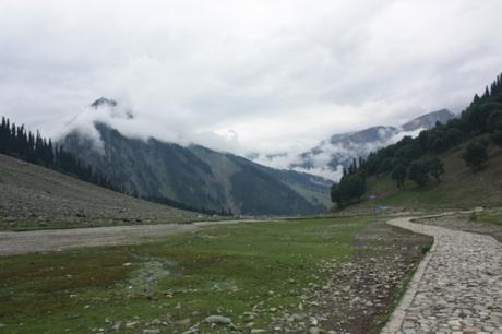 DAILY PHOTO: Kashmir Green, Dreary and Bright