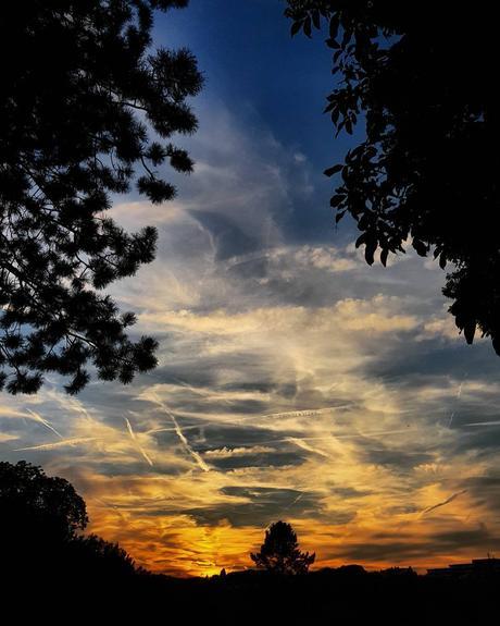 Yesterday's sunset #benheinephotography #sunset #coucherdesoleil #nature #beauty #trees #silhouette #photo #photography #sky #ciel