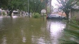 Image may contain: tree, car, outdoor, water and nature