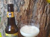 Death Rides Pale Horse Amber Cerveza Lost Muertos