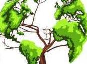 Which Countries Protect Most Their Land?