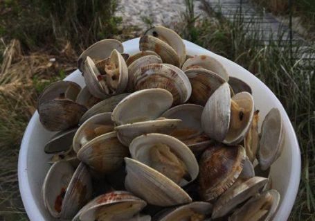 Disney Dinner and a Movie: ‘The Little Mermaid’