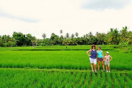 Best Holiday Destinations in Asia for Family Revealed!