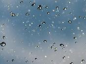 Friday Fotos: Some Varieties Water