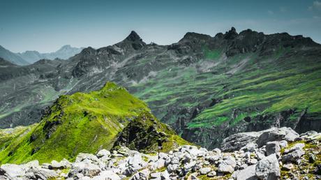 Swissness Swissness