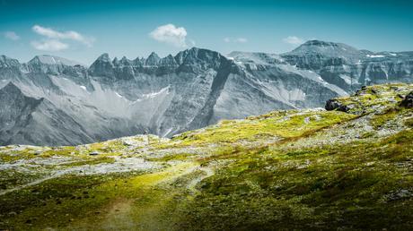 Swissness Swissness