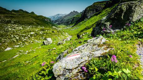 Swissness Swissness