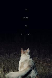 It Comes at Night (2017) – Review