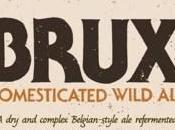 Brux Domesticated Wild Russian River Sierra Nevada Brewing Collaboration) Bottle 9/4/2017
