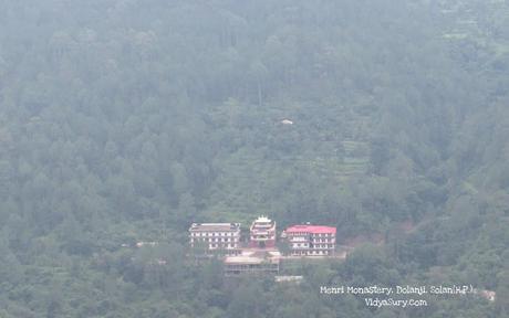 At Menri Monastery, Dolanji, Solan, Himachal Pradesh