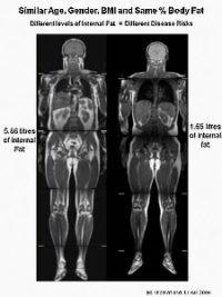 The Scale and Its Other Liar Acolytes