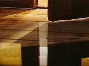 Should with Solid Hardwood Floors Engineered Floors?