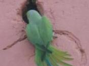 POEMS: Haiku Frivolity