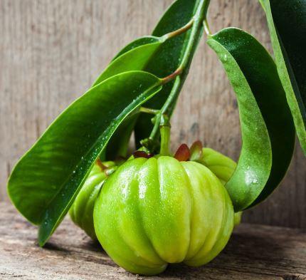 How to Spot a Garcinia Cambogia Free Trial Scam