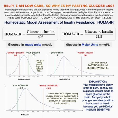 Why Your Fasting Blood Sugar Might Still Be High on Low Carb
