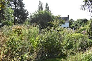 A decade of gardening at Blackberry Cottage