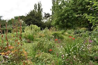 A decade of gardening at Blackberry Cottage