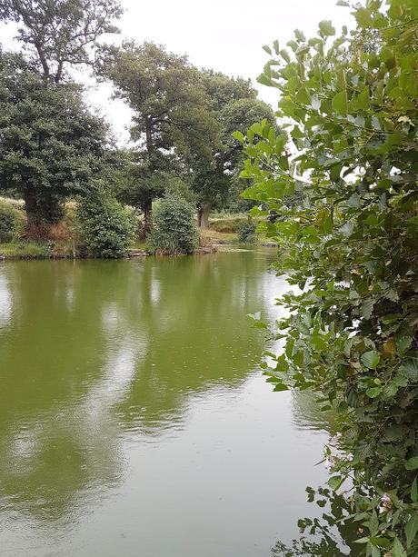 AUTUMN WALKS & A COUNTDOWN TO CHRISTMAS DAY (already)