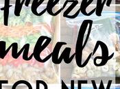 Healthy Freezer Meal Prep Dinners Moms