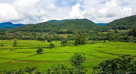 Review: Thailand’s Green Bus VIP Class Bus Review: Thailand’s Green Bus VIP Class Bus