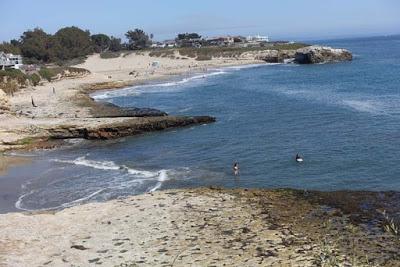 SANTA CRUZ, California: A Walk Along the Cliff