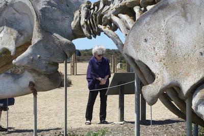 SANTA CRUZ, California: A Walk Along the Cliff