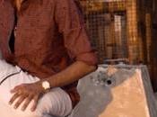 Carriage Pigeons Rule Follow