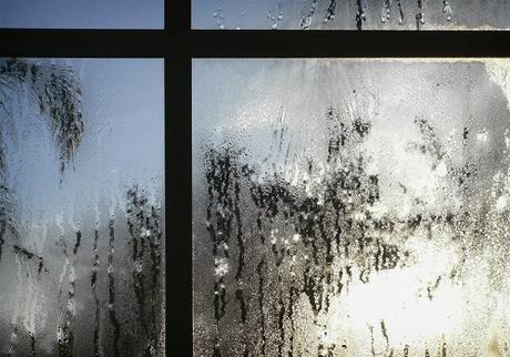 How To Prepare Your Windows For Fall And Winter