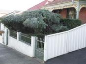 From Disgraceful Graceful