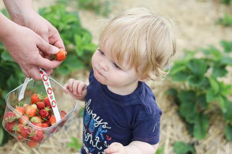 Memories Of Summer 2017