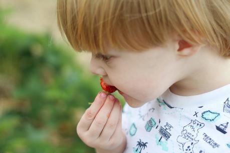 Memories Of Summer 2017