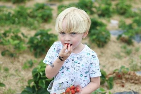 Memories Of Summer 2017