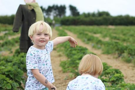 Memories Of Summer 2017