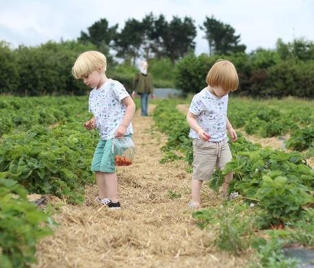 Memories Of Summer 2017