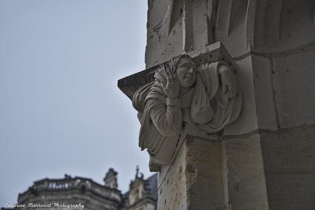 A visit to France – Château de Blois