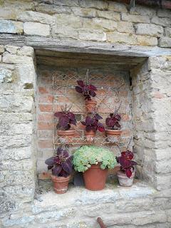 An overdue visit to Easton Walled Gardens