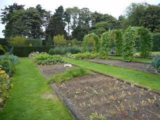 An overdue visit to Easton Walled Gardens