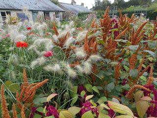 An overdue visit to Easton Walled Gardens