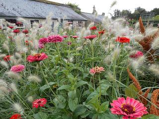 An overdue visit to Easton Walled Gardens