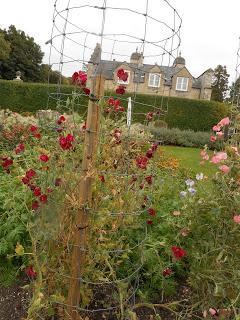 An overdue visit to Easton Walled Gardens