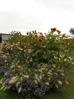 An overdue visit to Easton Walled Gardens