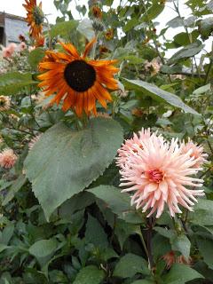 An overdue visit to Easton Walled Gardens