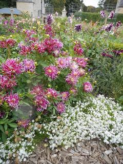 An overdue visit to Easton Walled Gardens