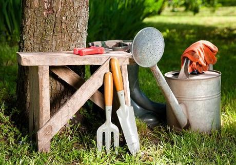 Different Types of Horticultural Tools Used in Gardening
