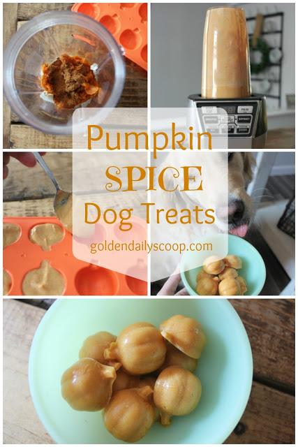 a homemade recipe for pumpkin spice dog treats
