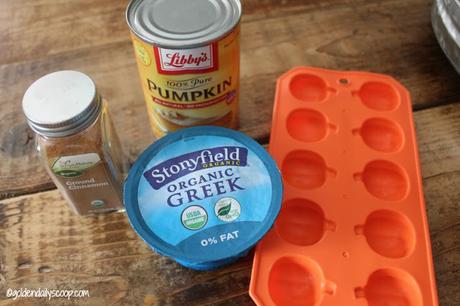 ingredients for healthy homemade pumpkin spice dog treats