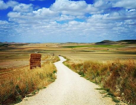 The hope road, Le chemin de l'espérance, #benheinephotography #santiagodecompostela #pilgrimage #pelerinage #walk #marche #path #chemin #freedom #spain #espagne #espana #camino #pilgrim #pelerin #photography #nature #hoperoad #hope #esperance #camino #...