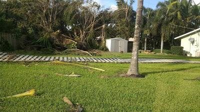 Snapshots from Hurricane Irma in Southeast Florida